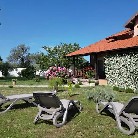 Villa Tinov Dvor Brisevo Exterior photo